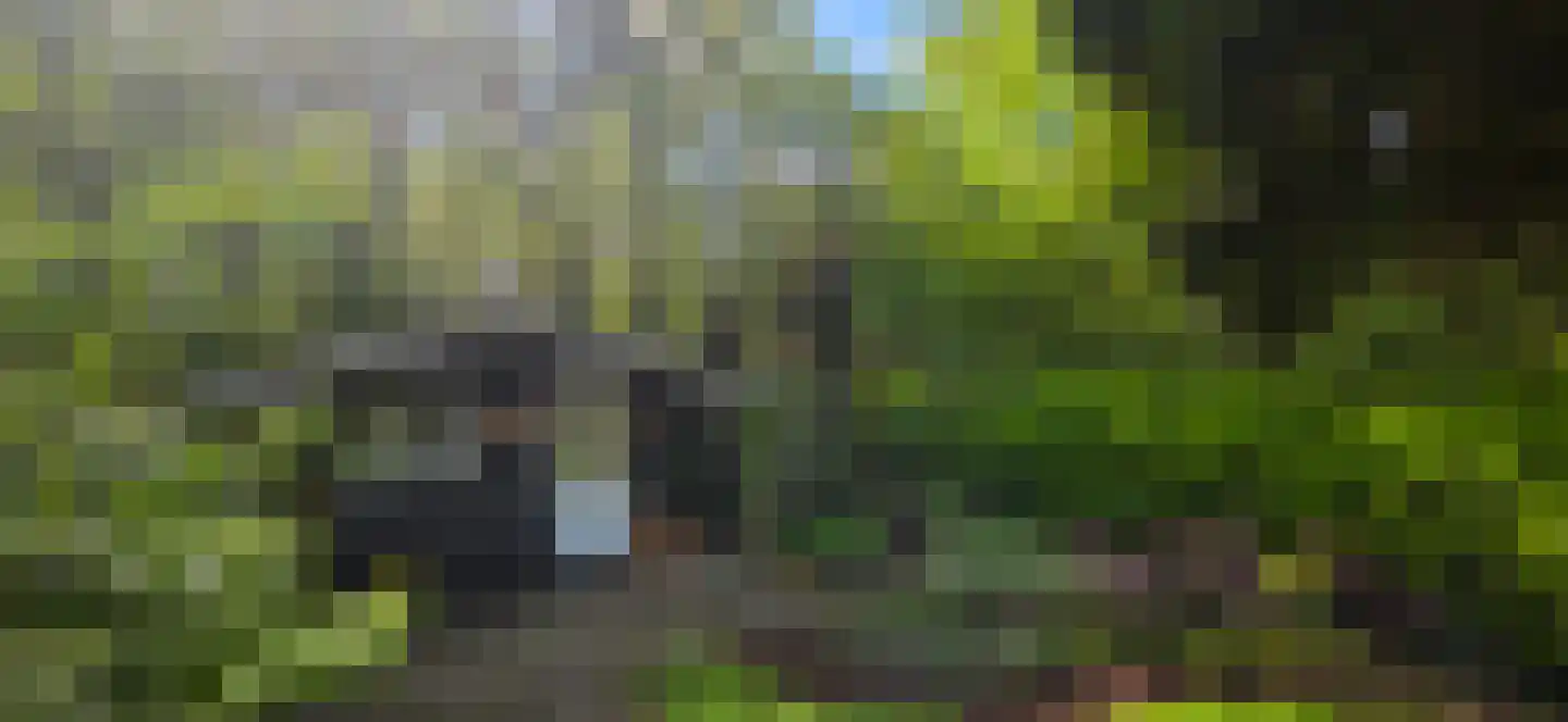 De Stille Wille 224 Oost West en Middelbeers thumbnail 28
