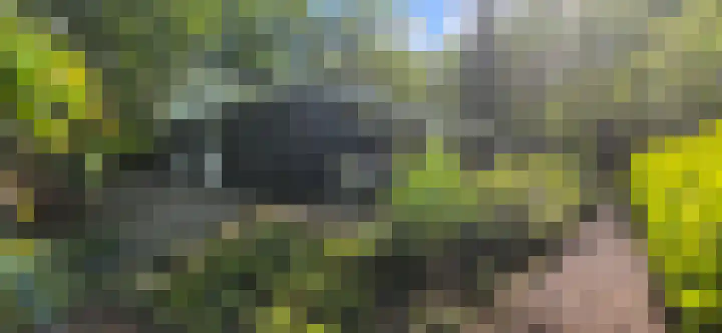 De Stille Wille 224 Oost West en Middelbeers thumbnail 30