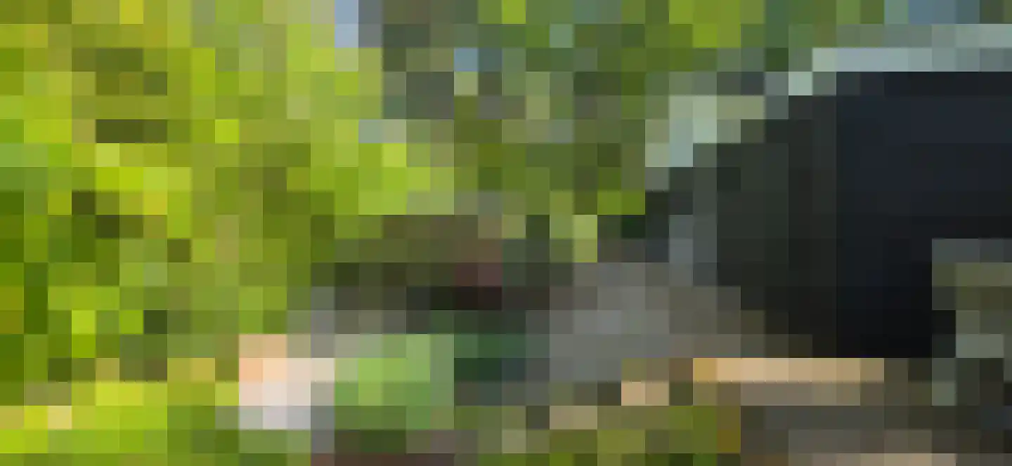 De Stille Wille 224 Oost West en Middelbeers thumbnail 31