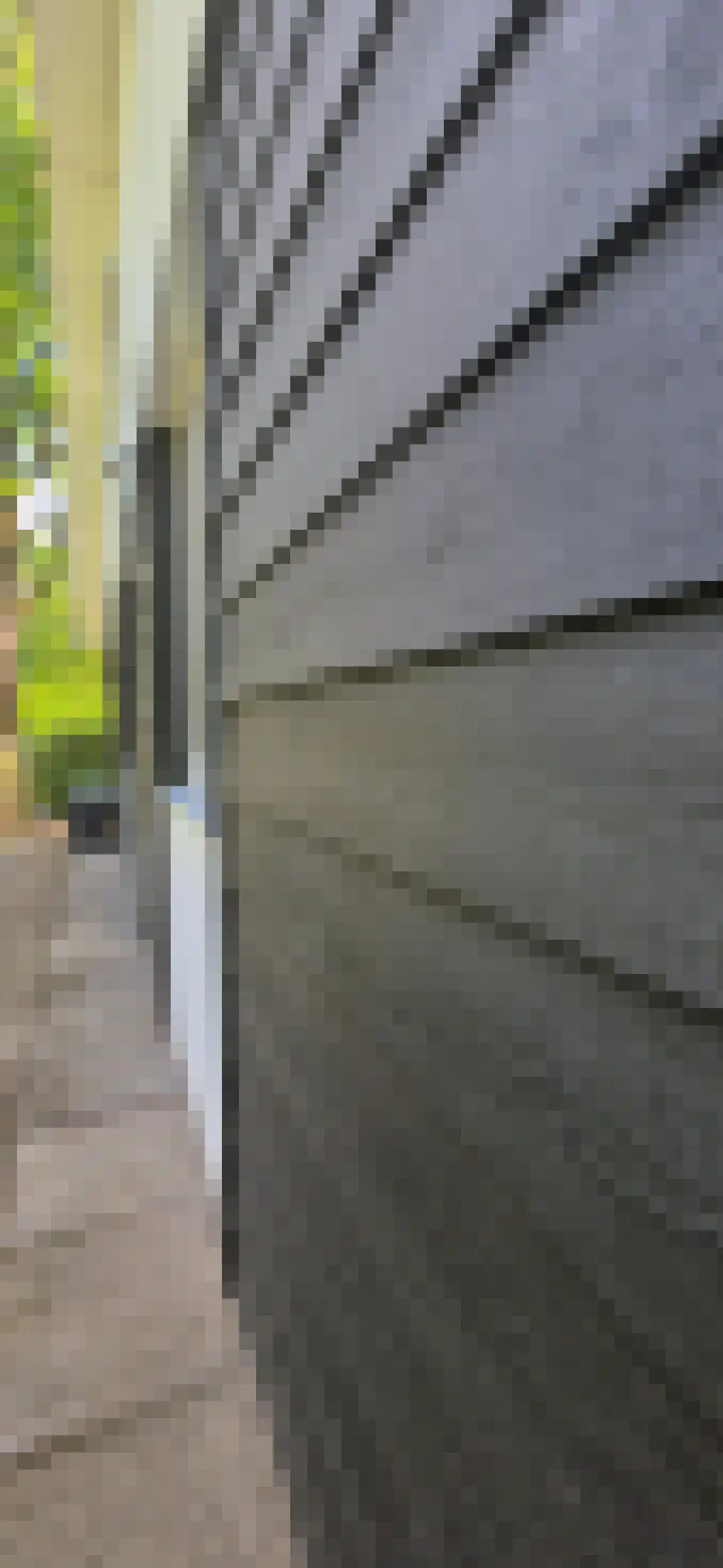 De Stille Wille 224 Oost West en Middelbeers thumbnail 32