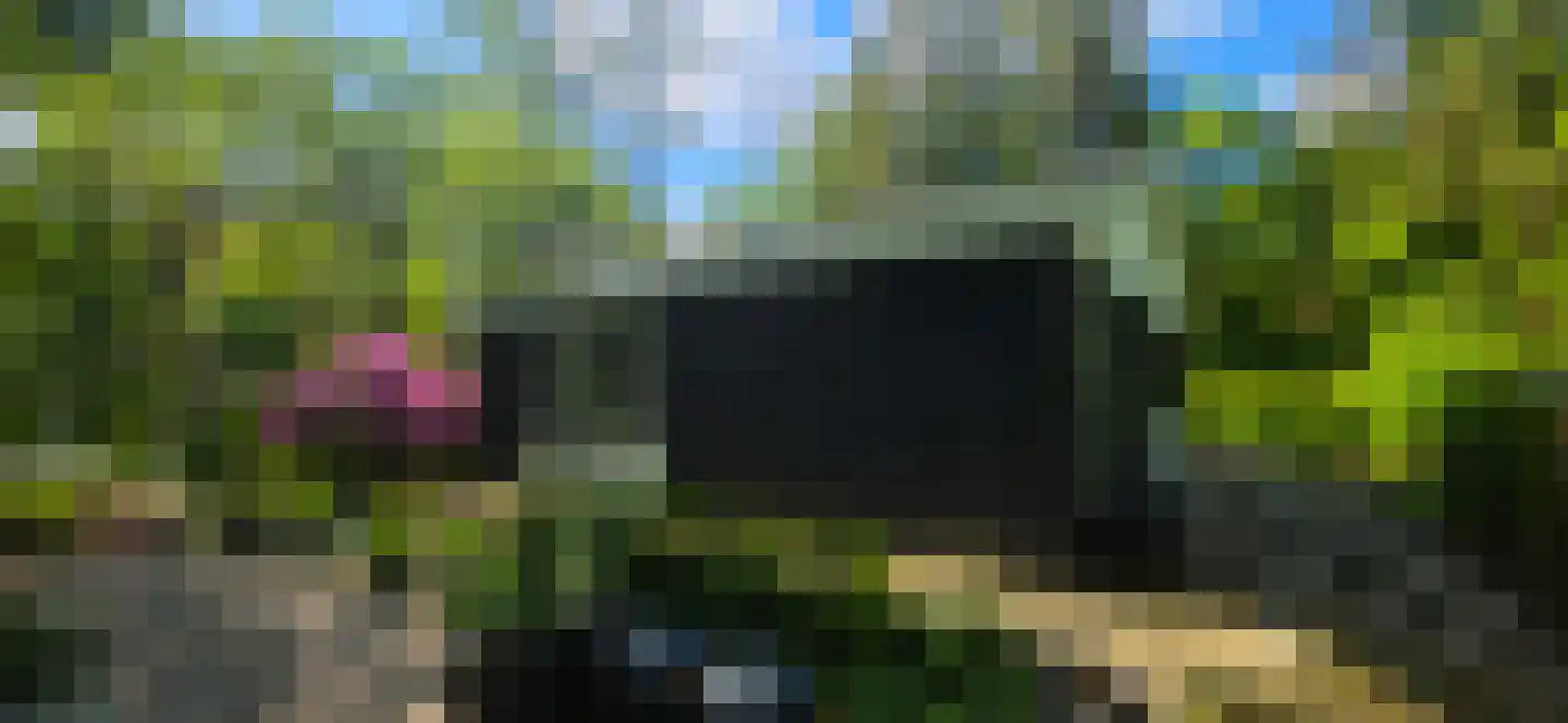 De Stille Wille 224 Oost West en Middelbeers thumbnail 34