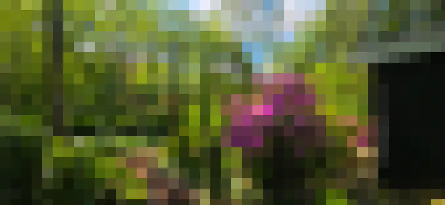 De Stille Wille 224 Oost West en Middelbeers thumbnail 35