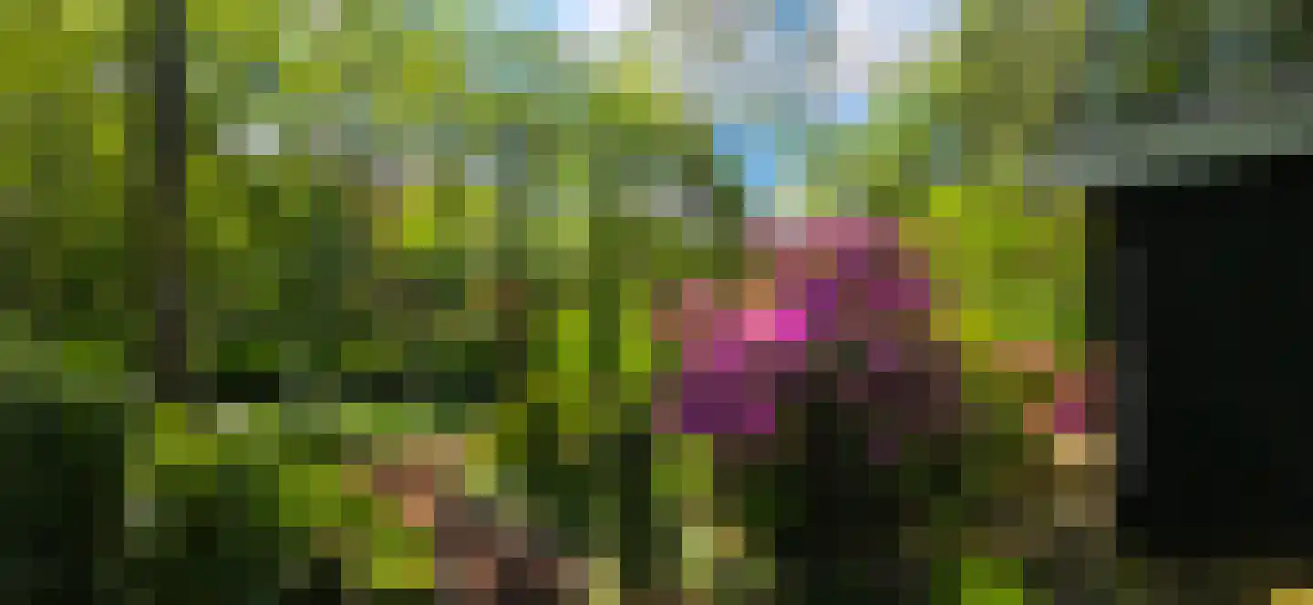De Stille Wille 224 Oost West en Middelbeers thumbnail 35
