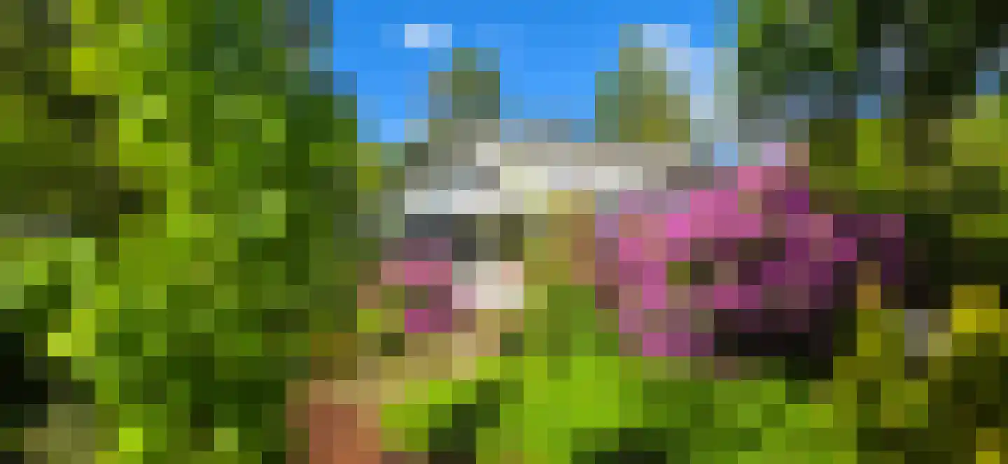 De Stille Wille 224 Oost West en Middelbeers thumbnail 36