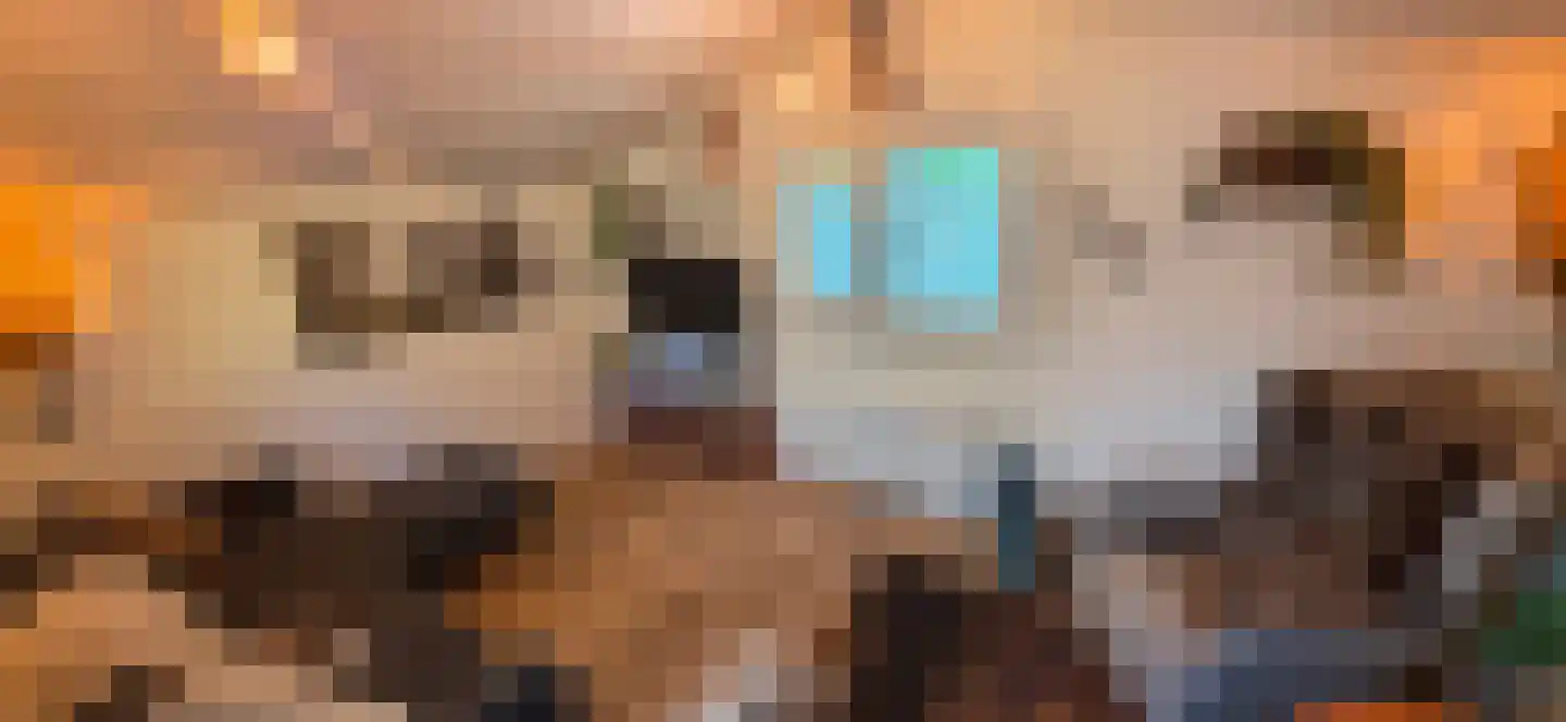De Stille Wille 224 Oost West en Middelbeers thumbnail 37