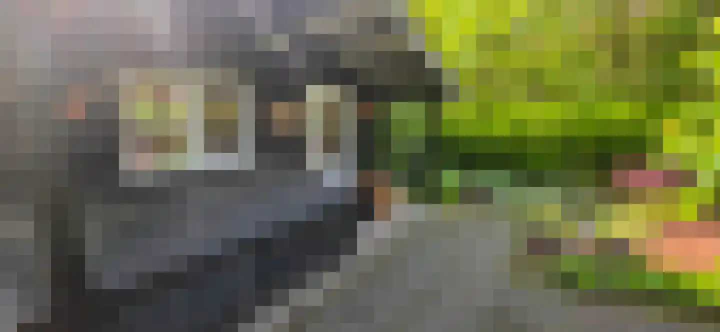 De Stille Wille 224 Oost West en Middelbeers thumbnail 39