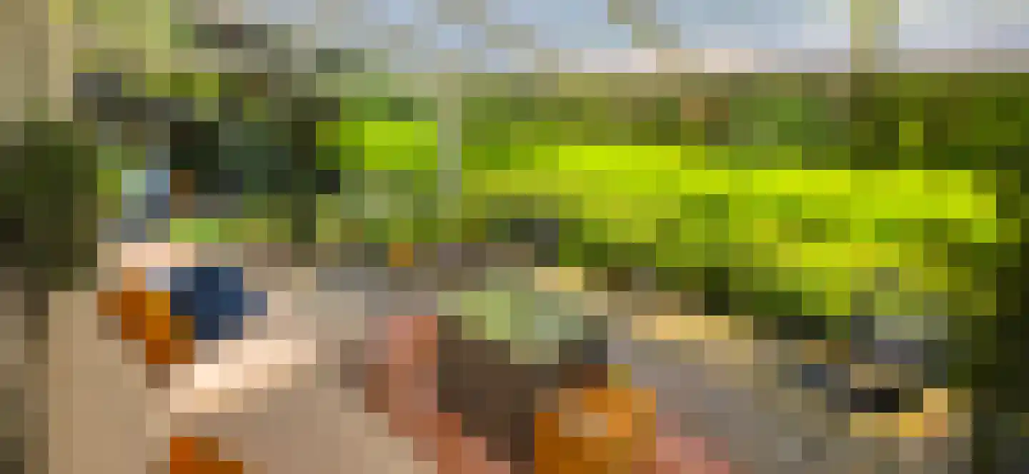 De Stille Wille 224 Oost West en Middelbeers thumbnail 4