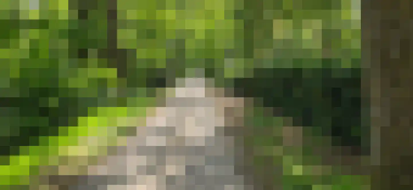 De Stille Wille 224 Oost West en Middelbeers thumbnail 43