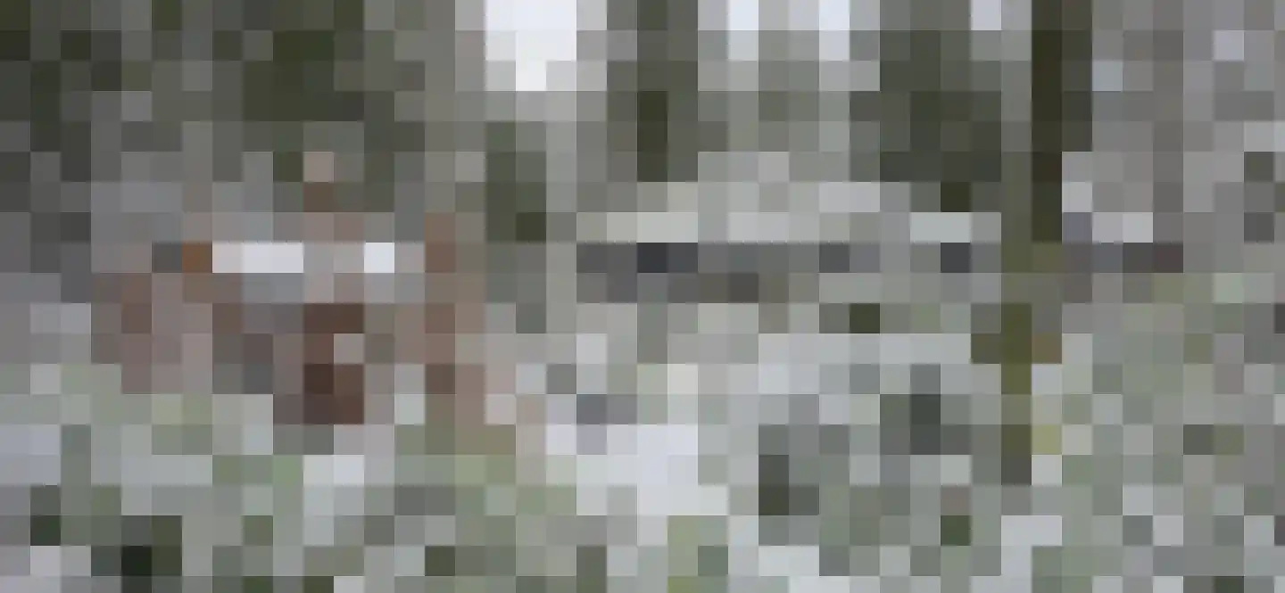 De Stille Wille 224 Oost West en Middelbeers thumbnail 46