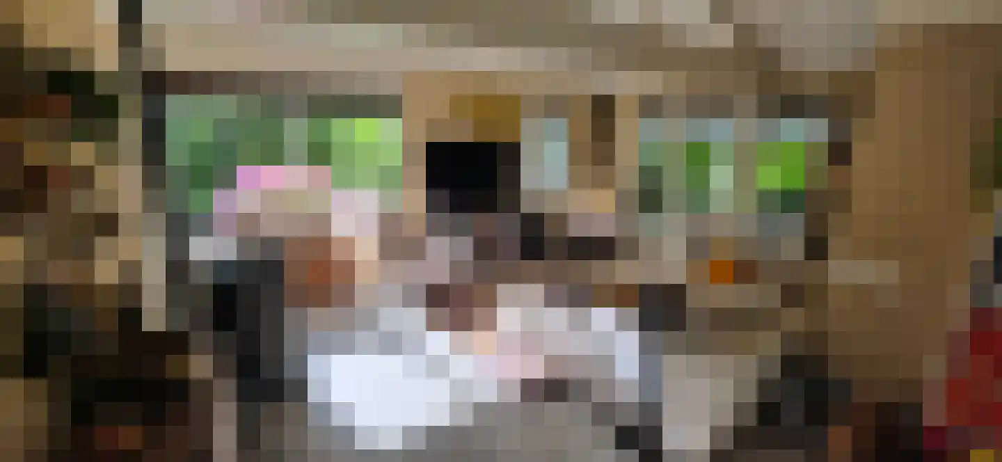De Stille Wille 224 Oost West en Middelbeers thumbnail 7