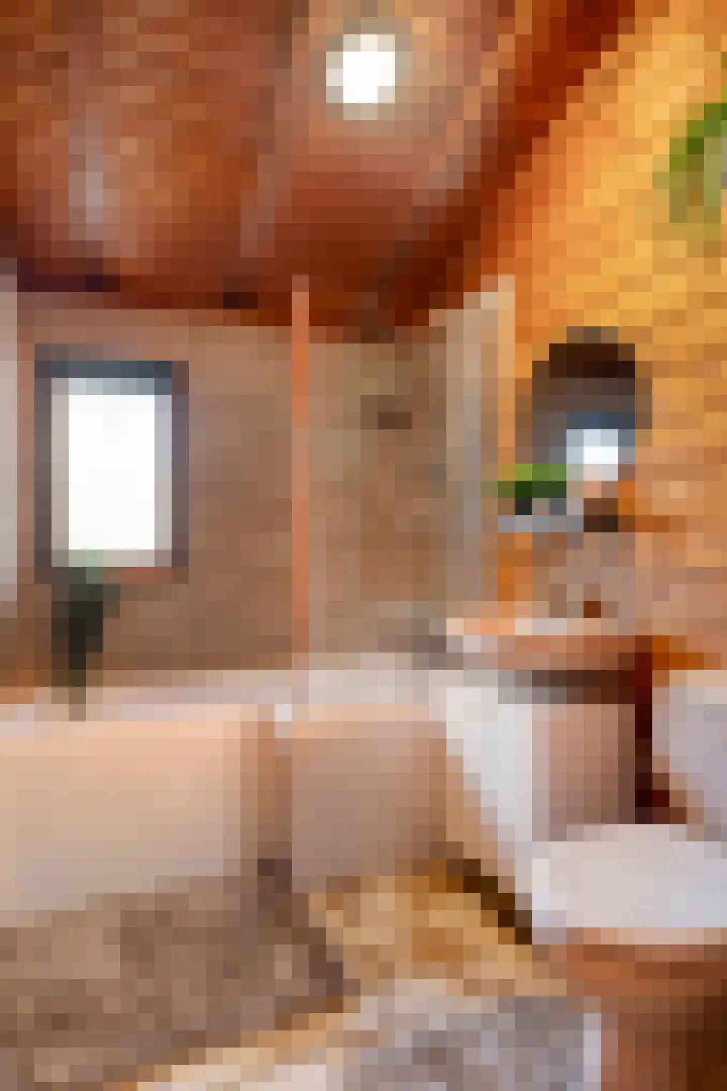 De Stille Wille 237 Oost West en Middelbeers thumbnail 23