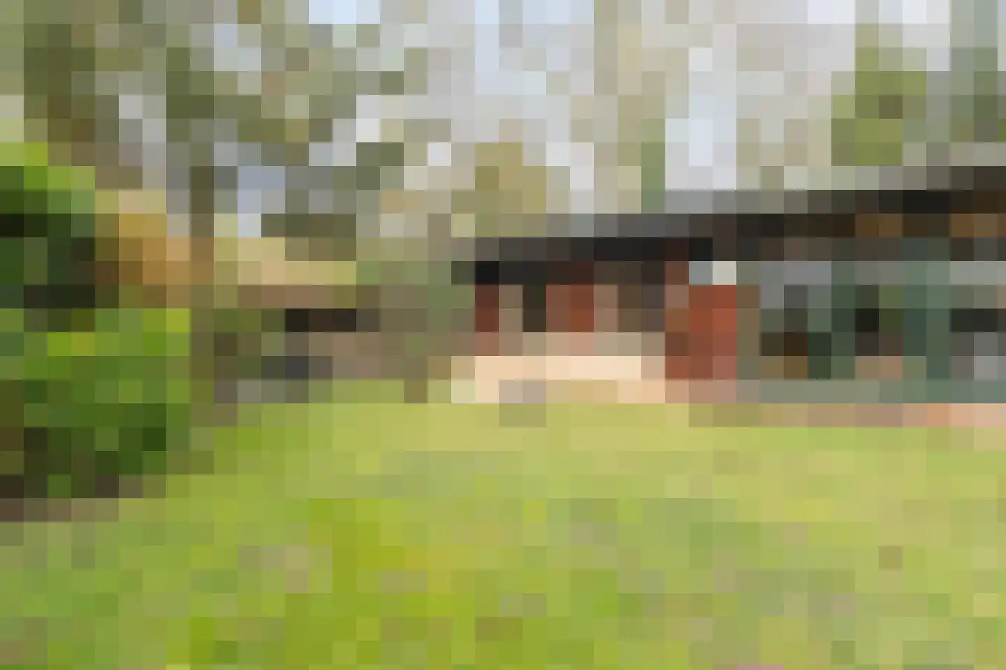 De Stille Wille 237 Oost West en Middelbeers thumbnail 28
