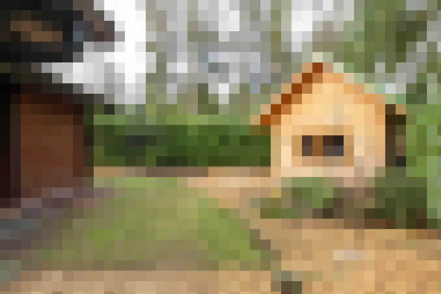 De Stille Wille 237 Oost West en Middelbeers thumbnail 29