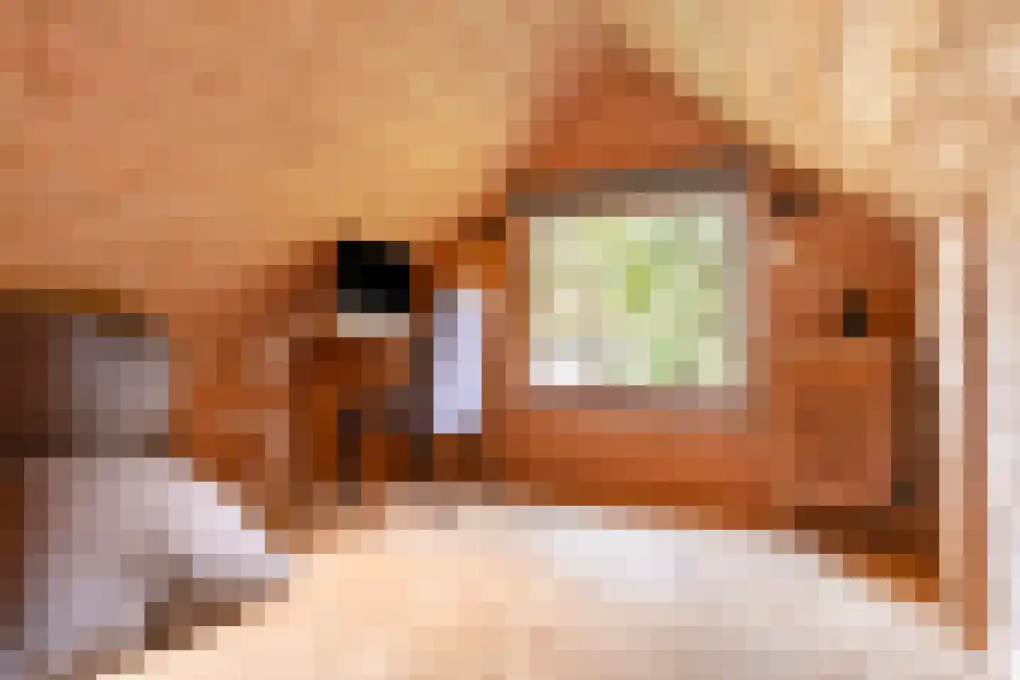 De Stille Wille 237 Oost West en Middelbeers thumbnail 33