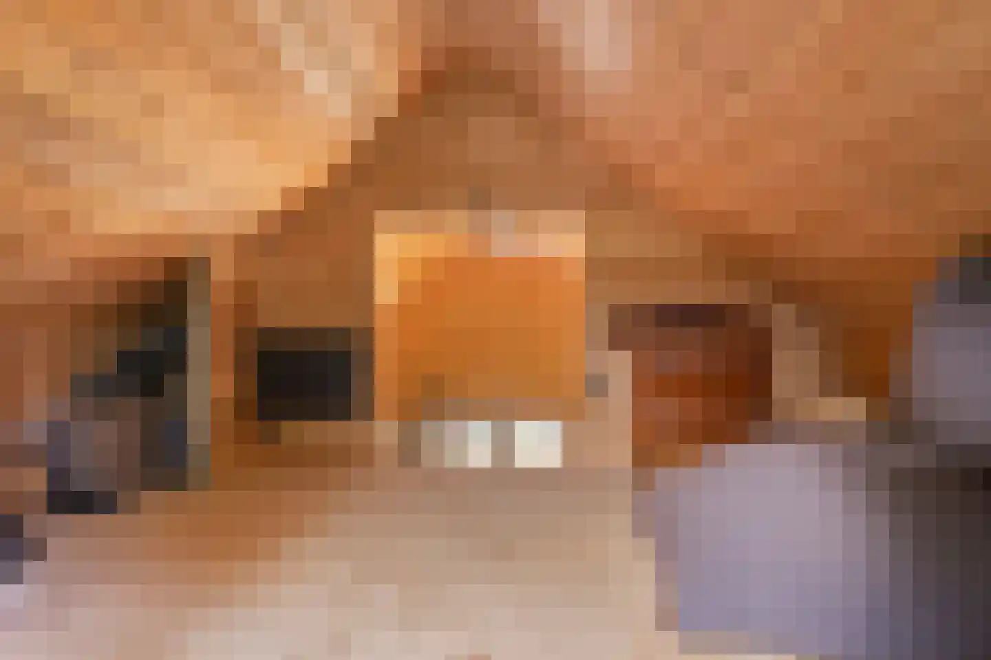 De Stille Wille 237 Oost West en Middelbeers thumbnail 34