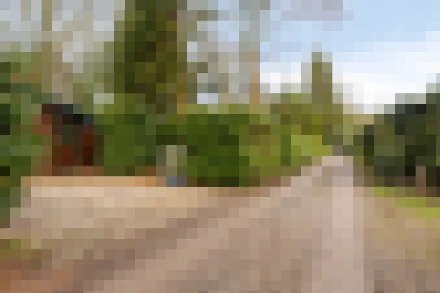 De Stille Wille 237 Oost West en Middelbeers thumbnail 36