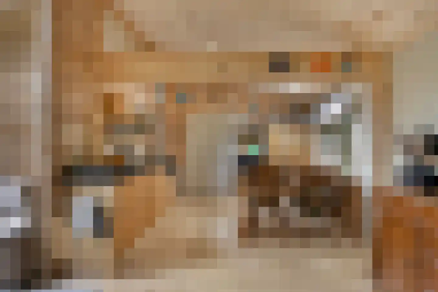 De Stille Wille 247 Oost West en Middelbeers thumbnail 10