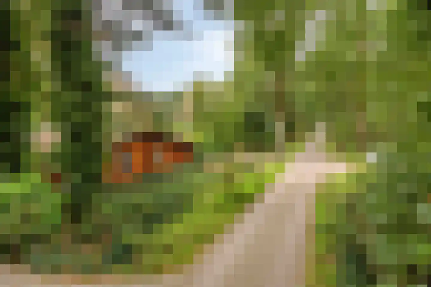 De Stille Wille 247 Oost West en Middelbeers thumbnail 17