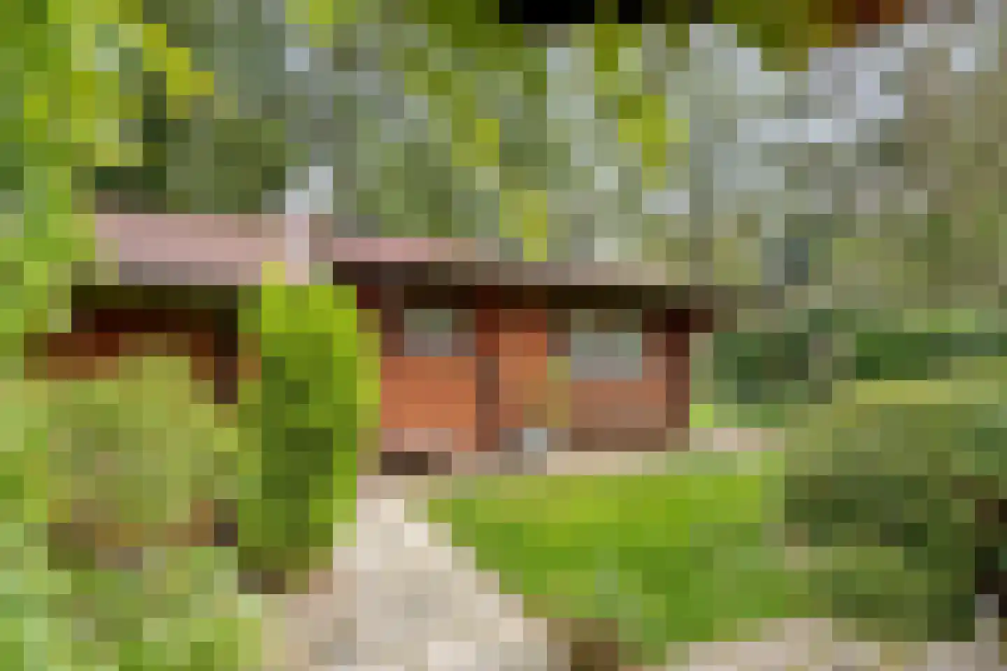 De Stille Wille 247 Oost West en Middelbeers thumbnail 18