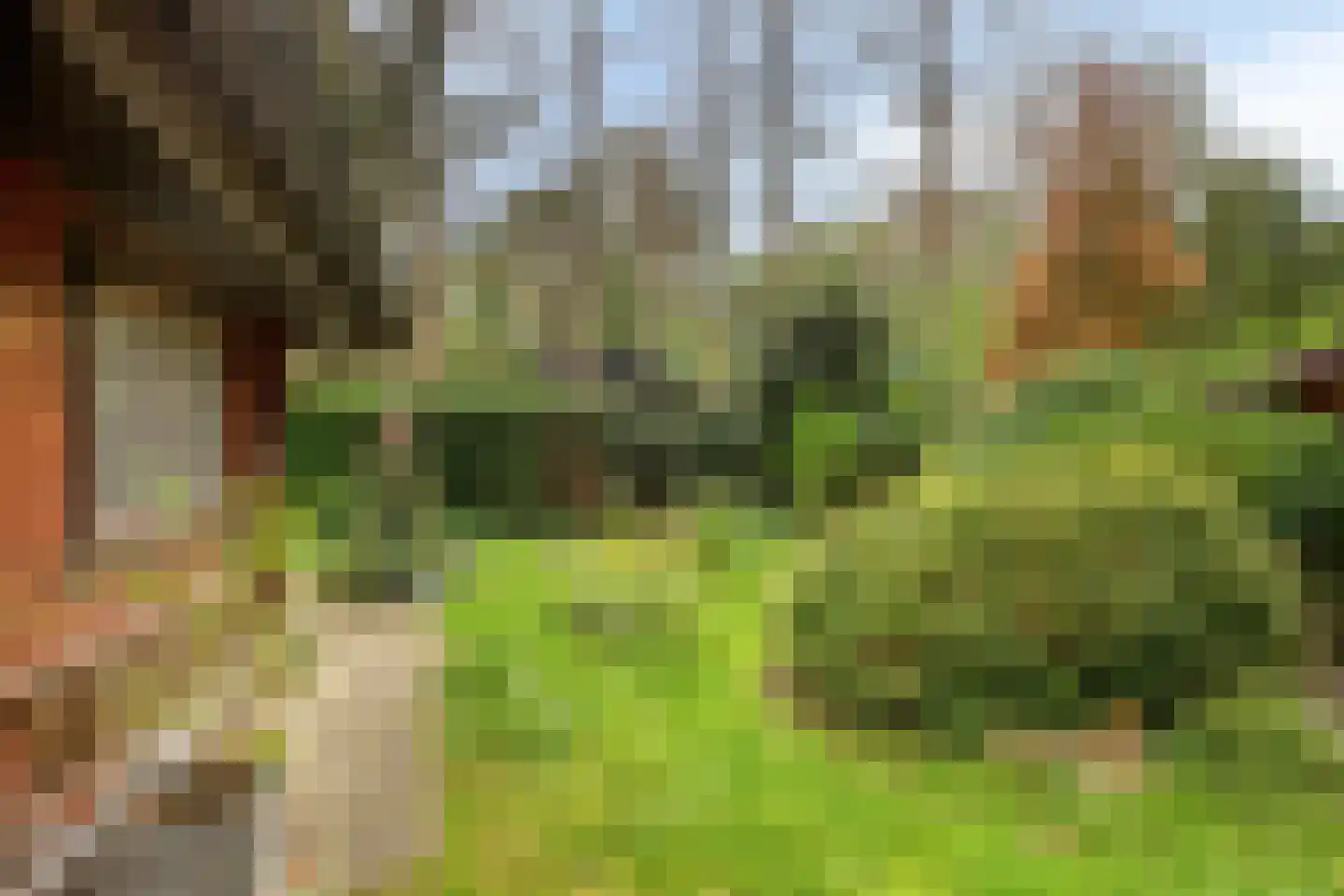 De Stille Wille 247 Oost West en Middelbeers thumbnail 19