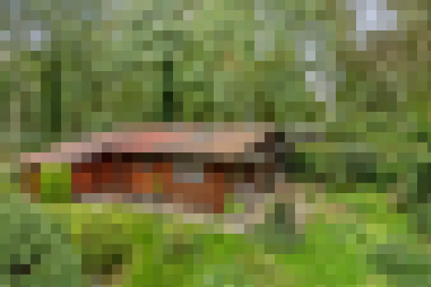 De Stille Wille 247 Oost West en Middelbeers thumbnail 20