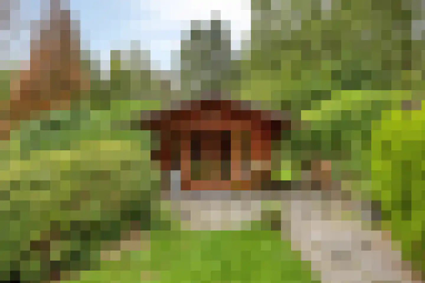 De Stille Wille 247 Oost West en Middelbeers thumbnail 22