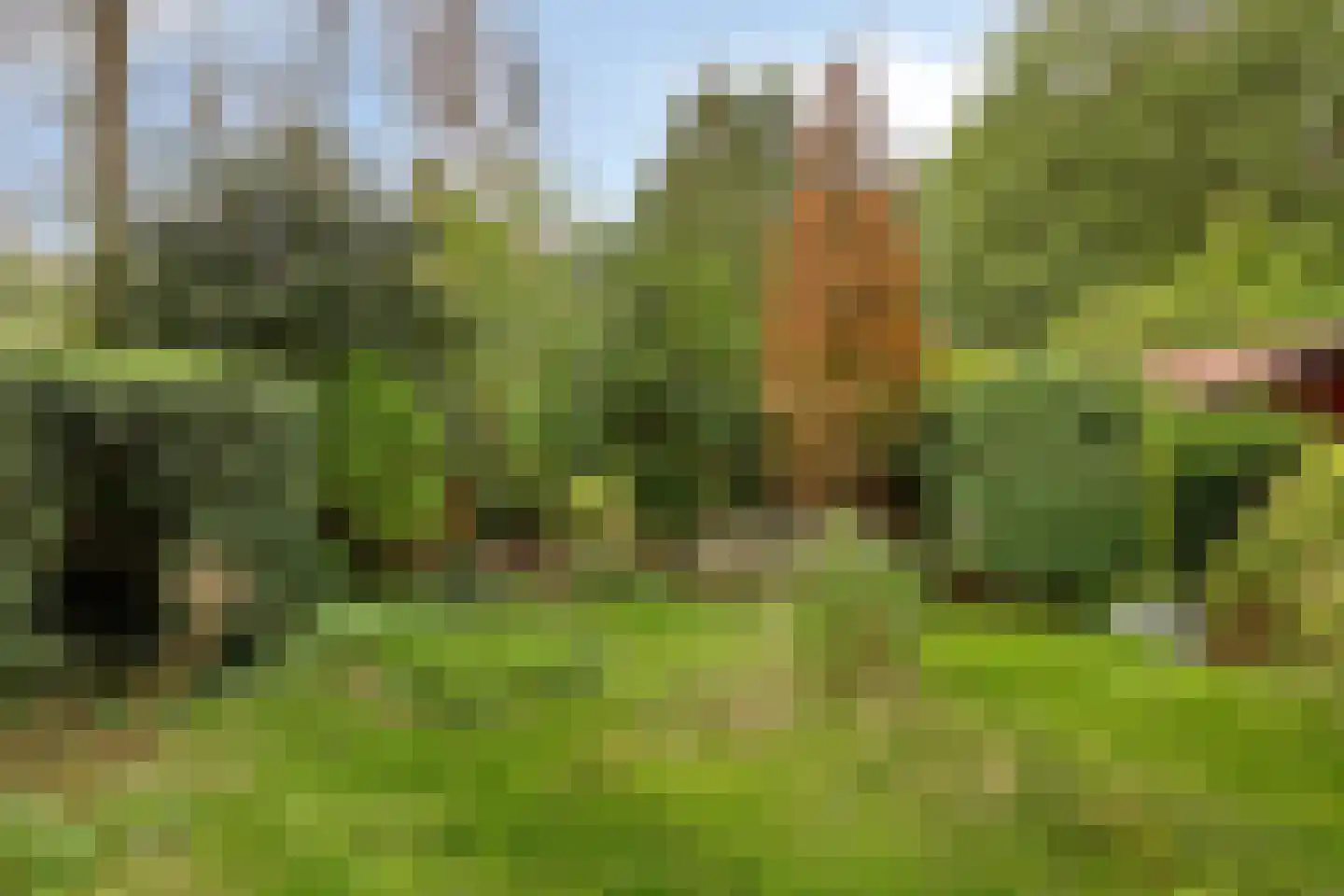 De Stille Wille 247 Oost West en Middelbeers thumbnail 23
