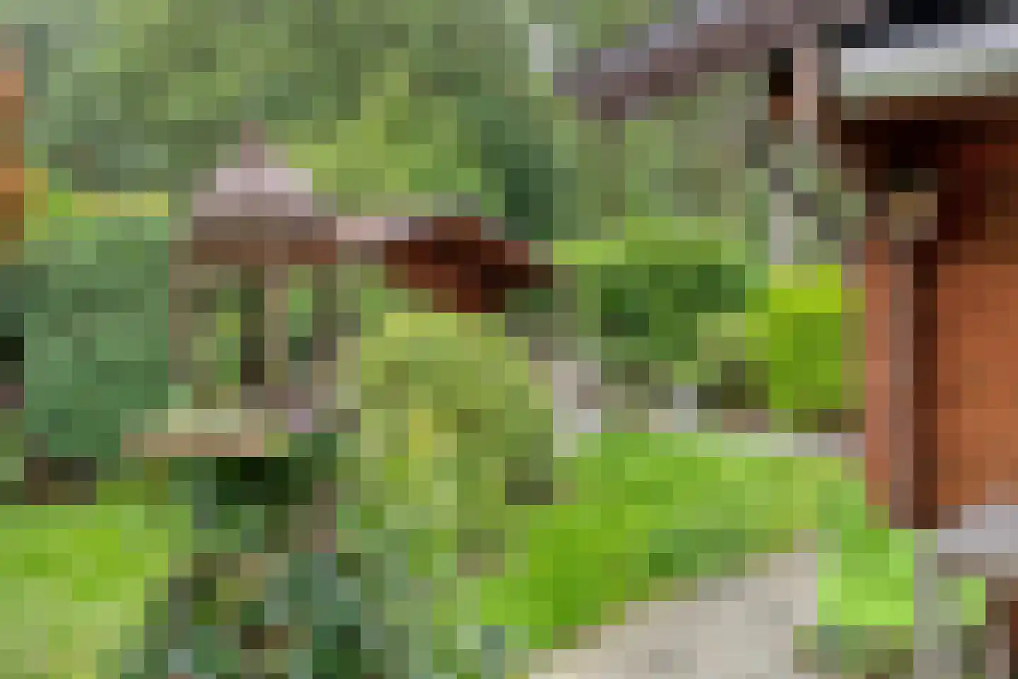 De Stille Wille 247 Oost West en Middelbeers thumbnail 24