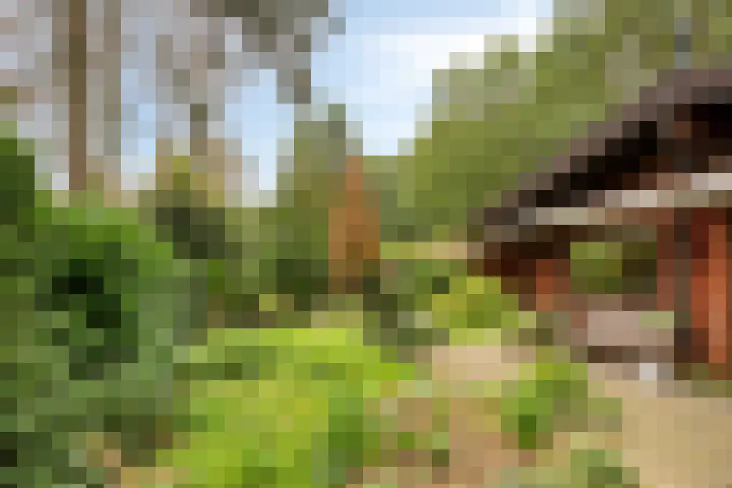 De Stille Wille 247 Oost West en Middelbeers thumbnail 25