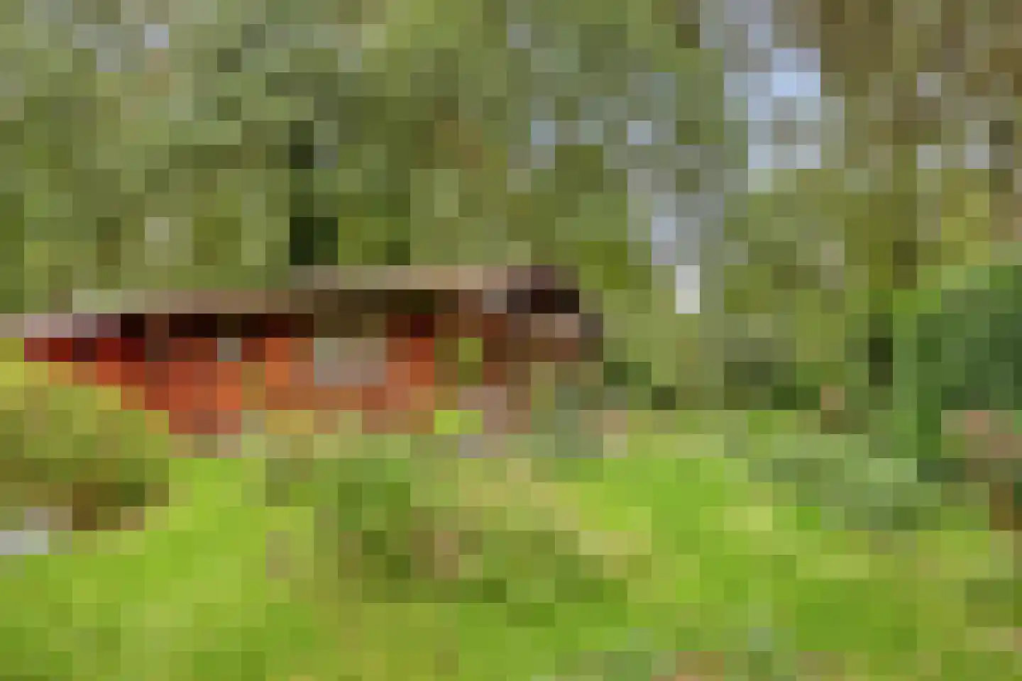 De Stille Wille 247 Oost West en Middelbeers thumbnail 4