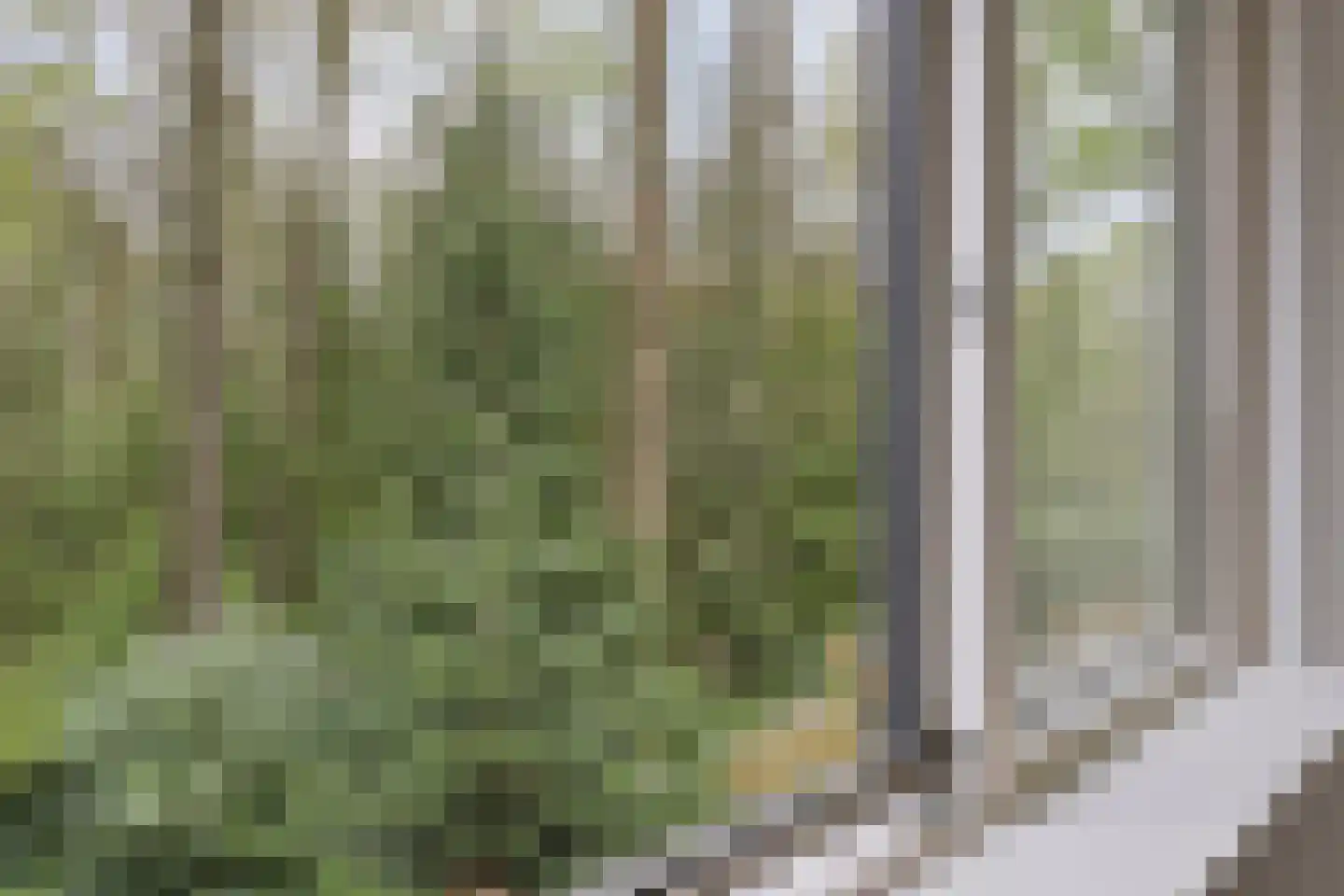 De Stille Wille 26 Oost West en Middelbeers thumbnail 28