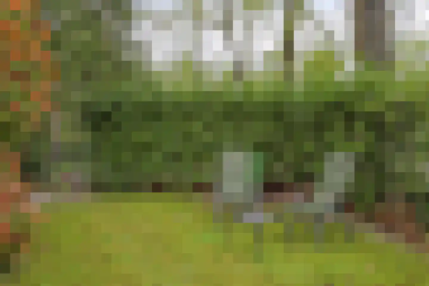De Stille Wille 26 Oost West en Middelbeers thumbnail 32