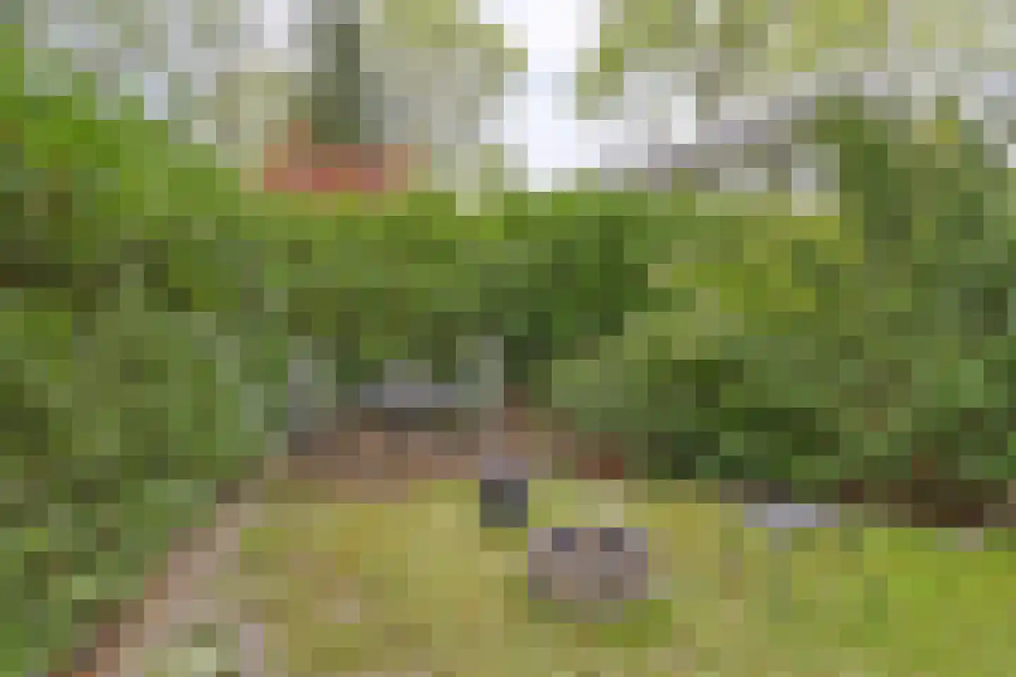 De Stille Wille 26 Oost West en Middelbeers thumbnail 33