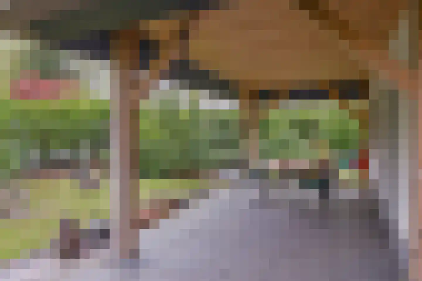 De Stille Wille 26 Oost West en Middelbeers thumbnail 34