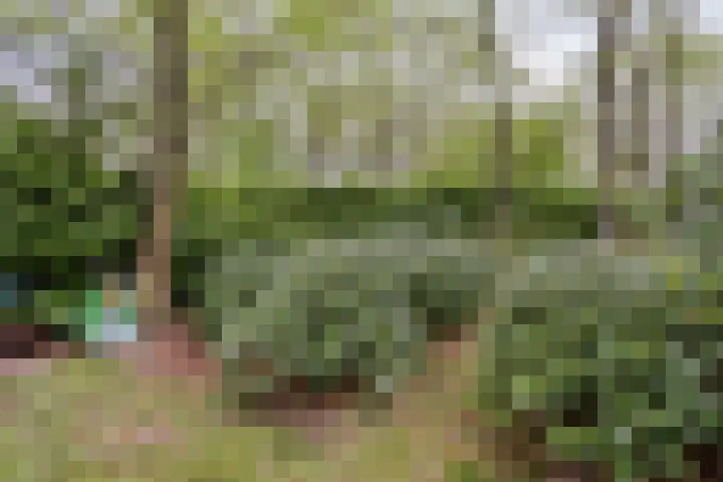 De Stille Wille 26 Oost West en Middelbeers thumbnail 35