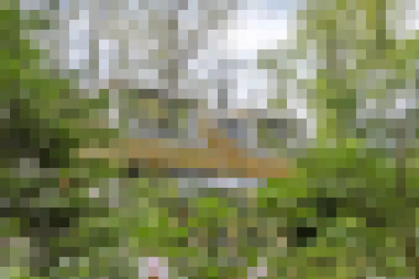 De Stille Wille 26 Oost West en Middelbeers thumbnail 36