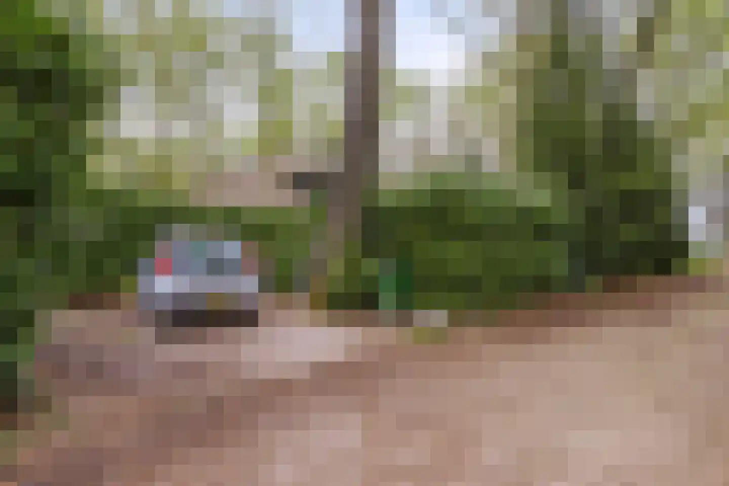 De Stille Wille 26 Oost West en Middelbeers thumbnail 8
