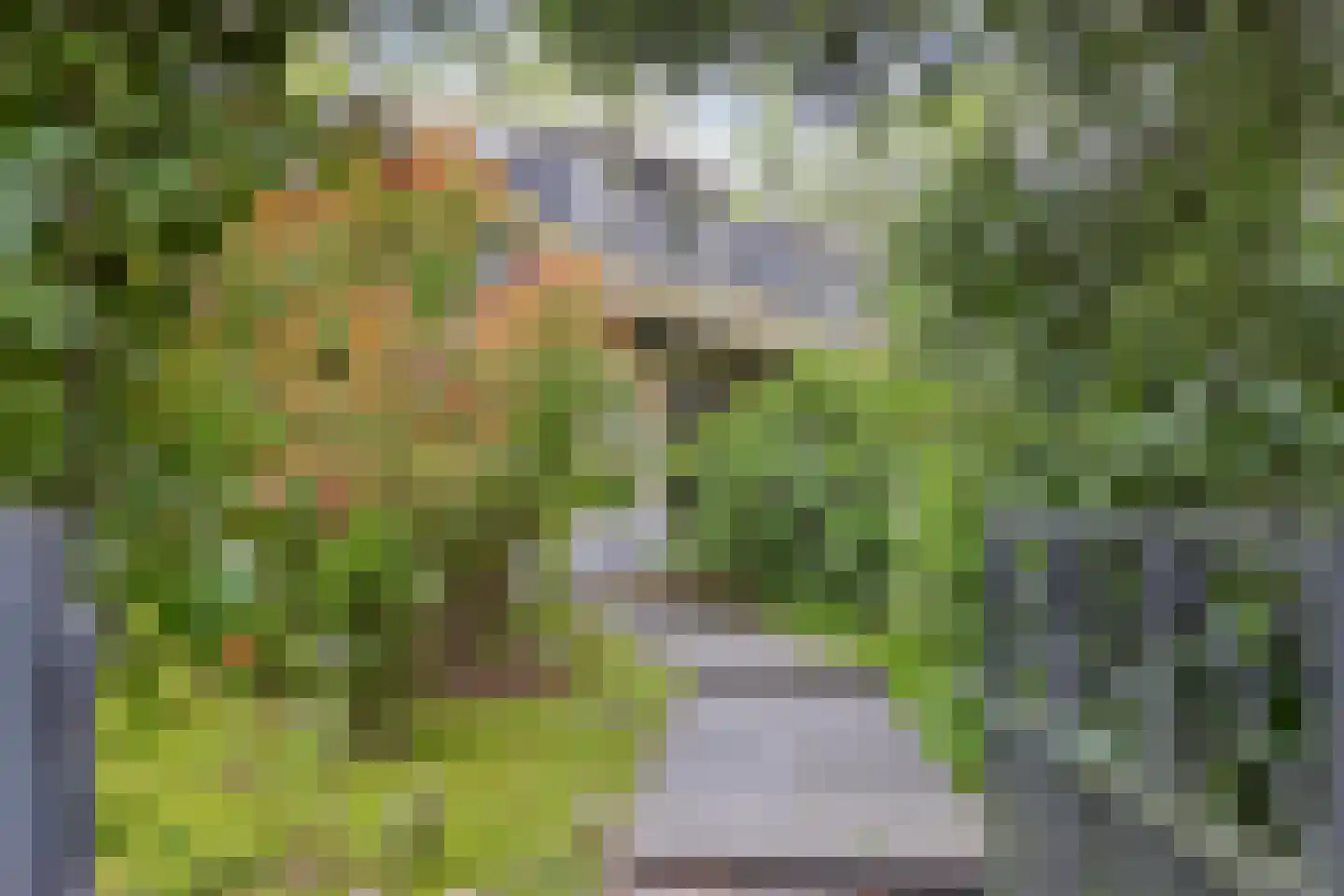 De Stille Wille 26 Oost West en Middelbeers thumbnail 9