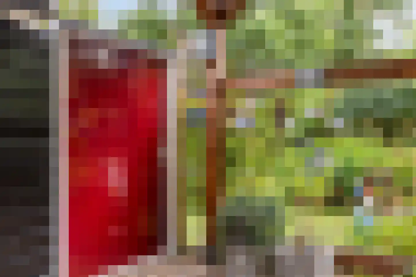 De Stille Wille 264 Oost West en Middelbeers thumbnail 24