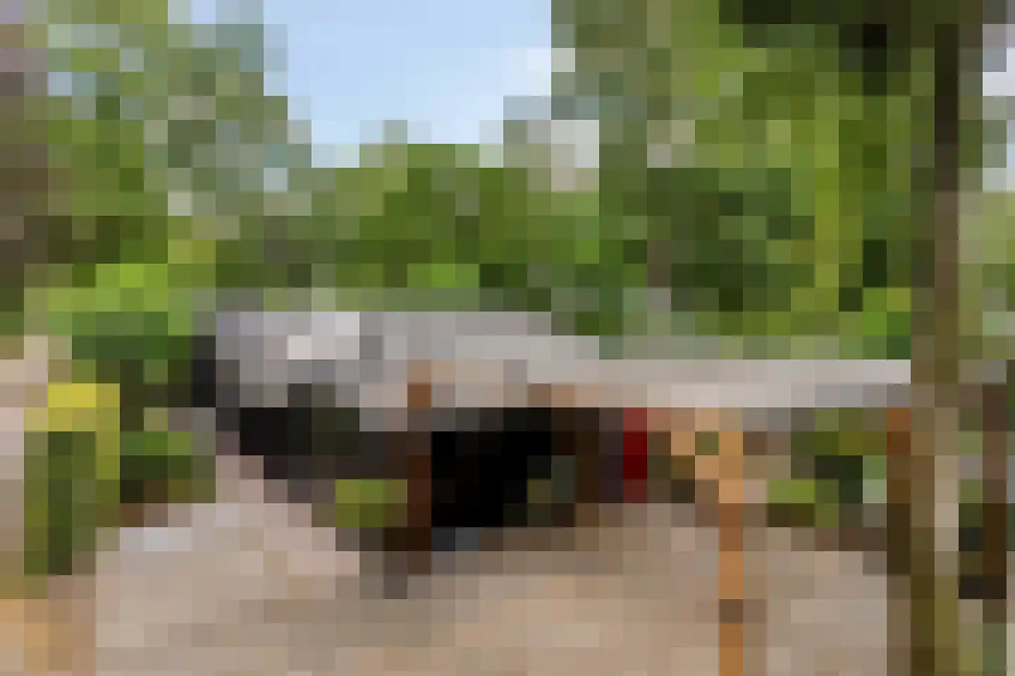 De Stille Wille 264 Oost West en Middelbeers thumbnail 28