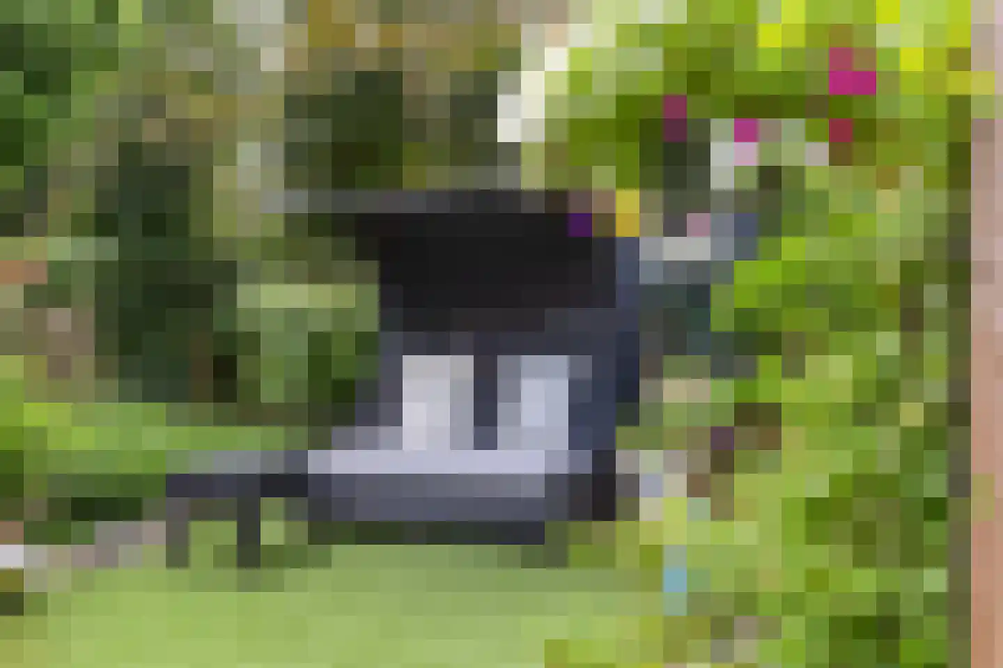 De Stille Wille 264 Oost West en Middelbeers thumbnail 29