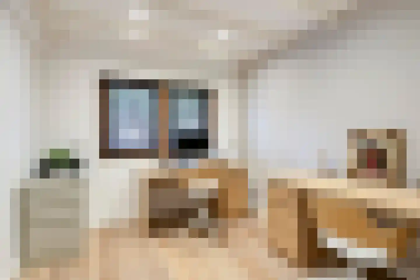 De Stille Wille 271 Oost West en Middelbeers thumbnail 21