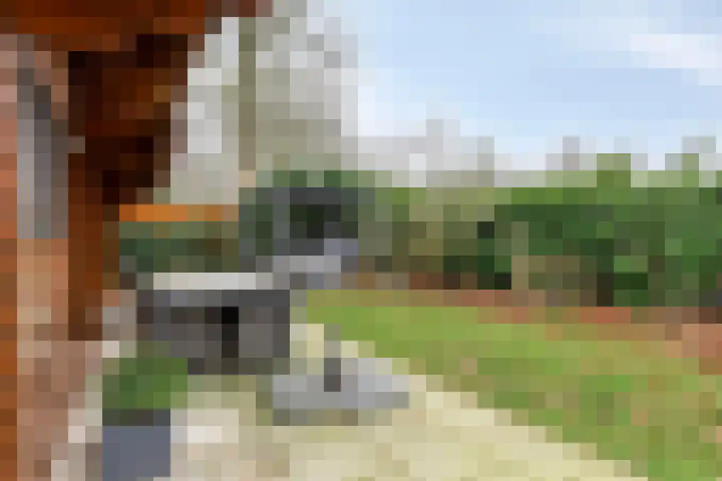 De Stille Wille 271 Oost West en Middelbeers thumbnail 28