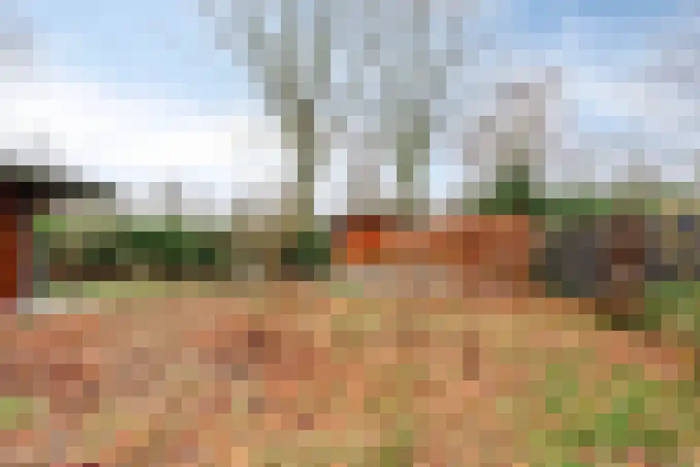De Stille Wille 271 Oost West en Middelbeers thumbnail 29