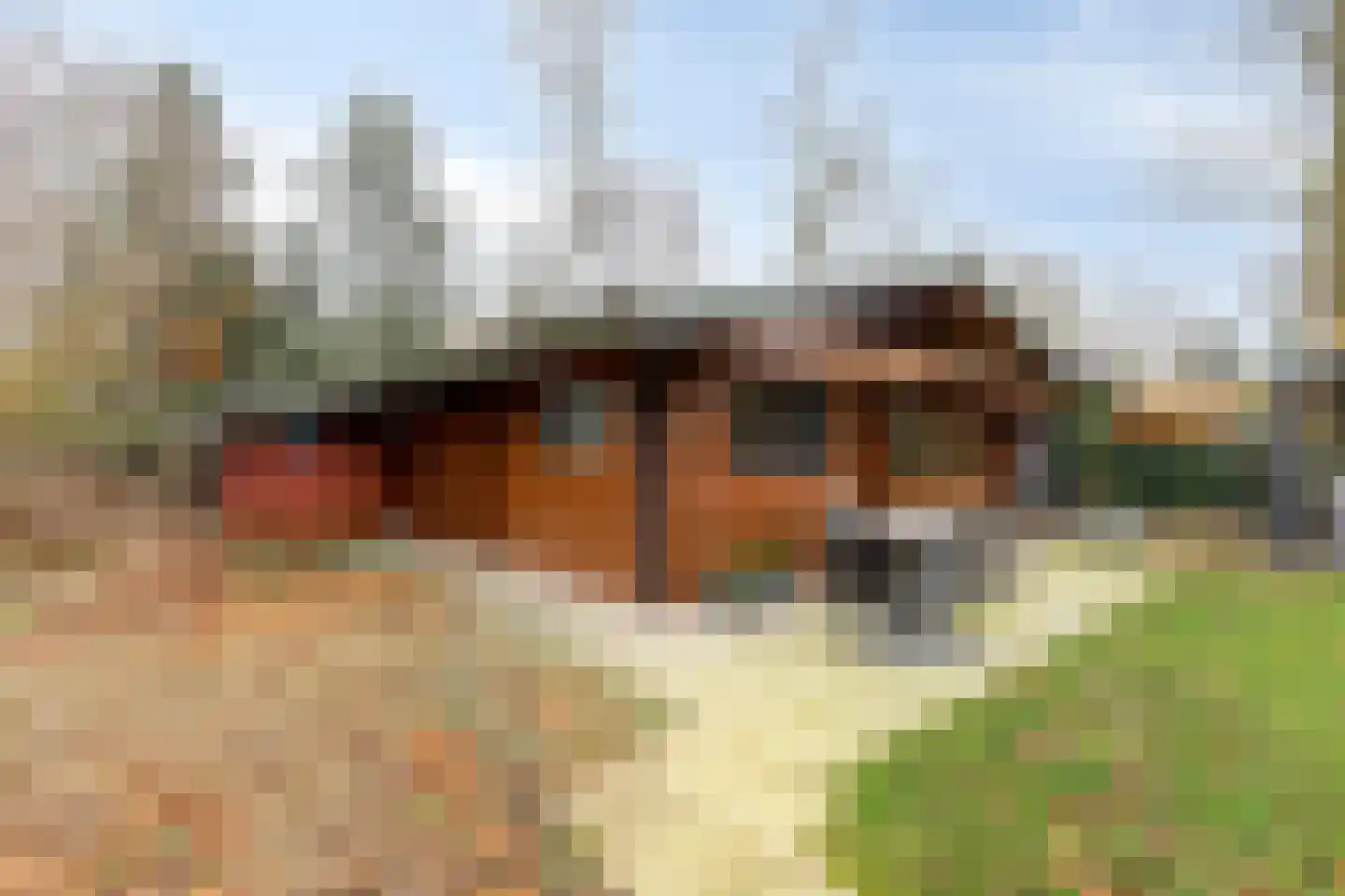 De Stille Wille 271 Oost West en Middelbeers thumbnail 32