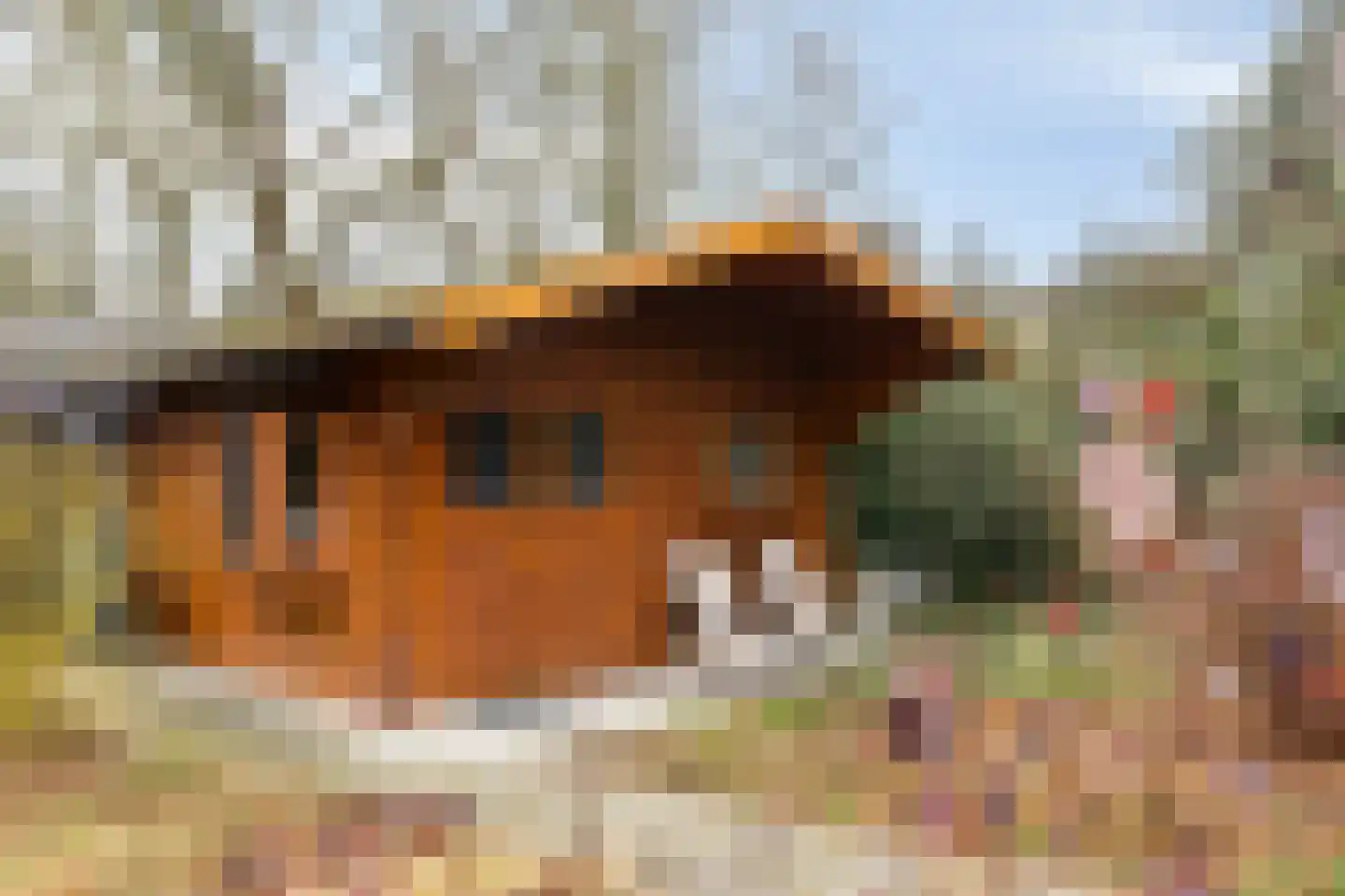 De Stille Wille 271 Oost West en Middelbeers thumbnail 33