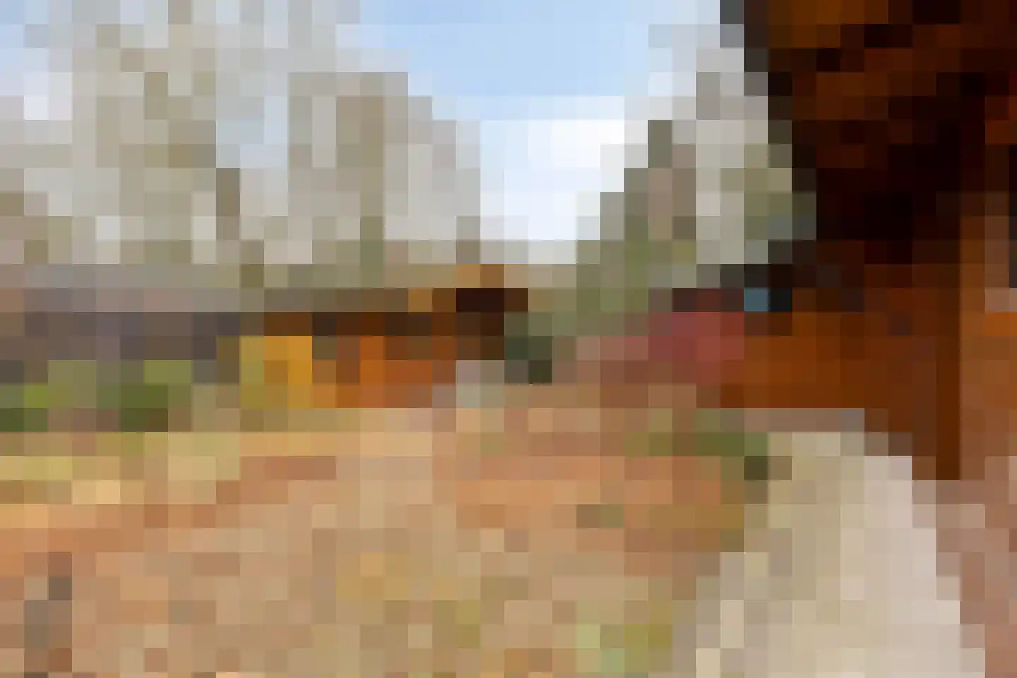 De Stille Wille 271 Oost West en Middelbeers thumbnail 34