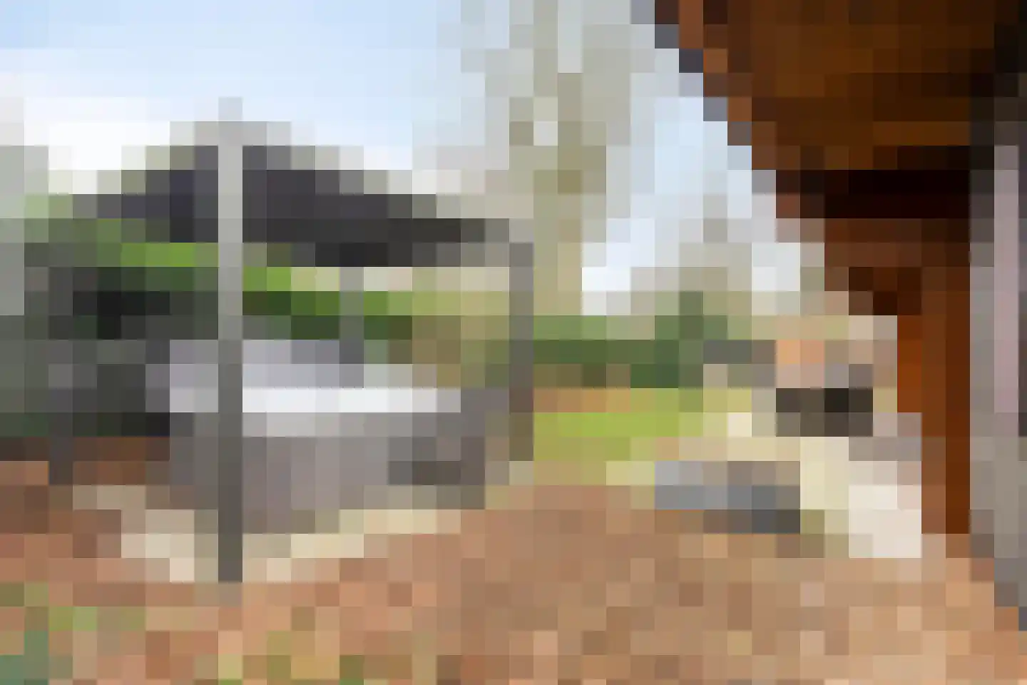 De Stille Wille 271 Oost West en Middelbeers thumbnail 5