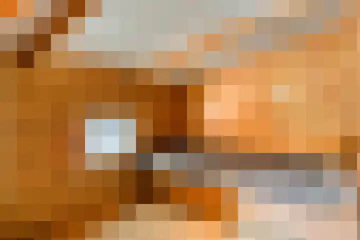 De Stille Wille 278 Oost West en Middelbeers thumbnail 17