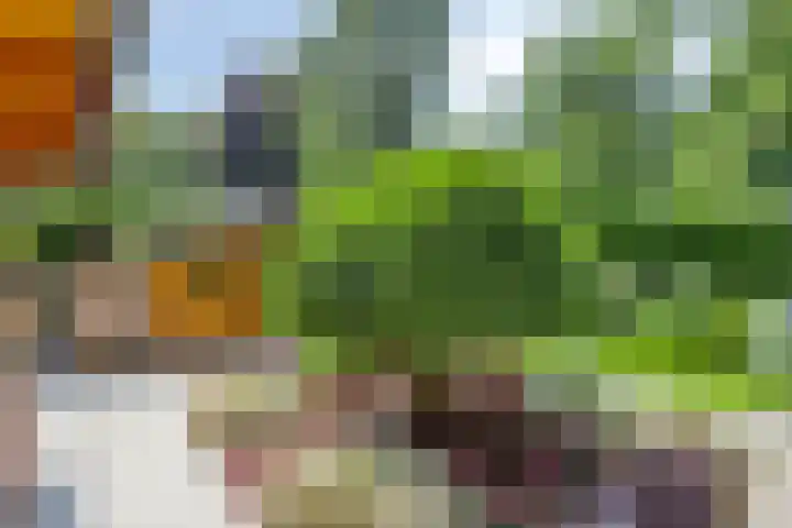 De Stille Wille 278 Oost West en Middelbeers thumbnail 18